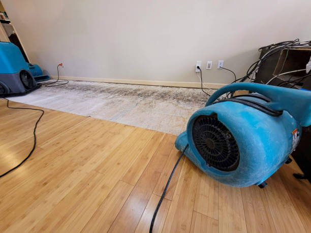 Professional Basement Flood Cleanup technician working in Gold Hill, OR